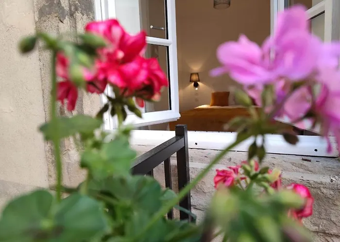 Le Jardin Secret Conciergeriedamecarcas